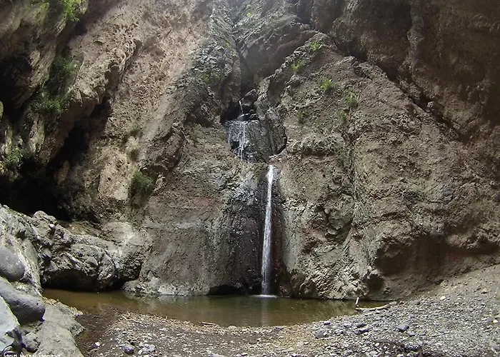 Lejlighed Vacacional Gara Costa Adeje (Tenerife)